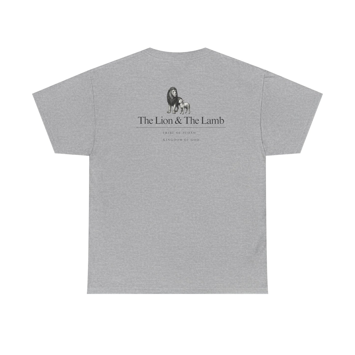 Lion and Lamb graphic man tee