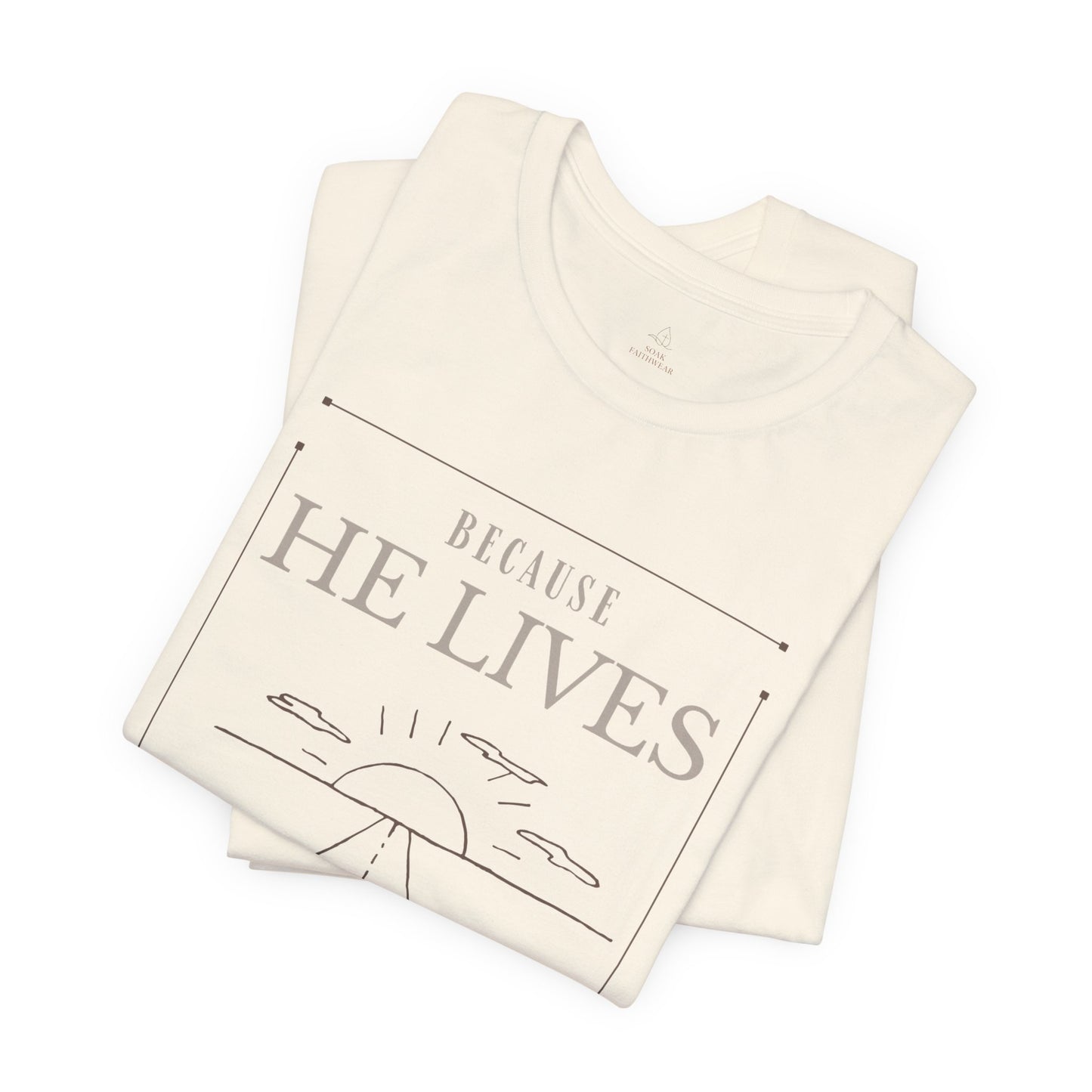 Chirstian Tee - Female adult - Because He lives.