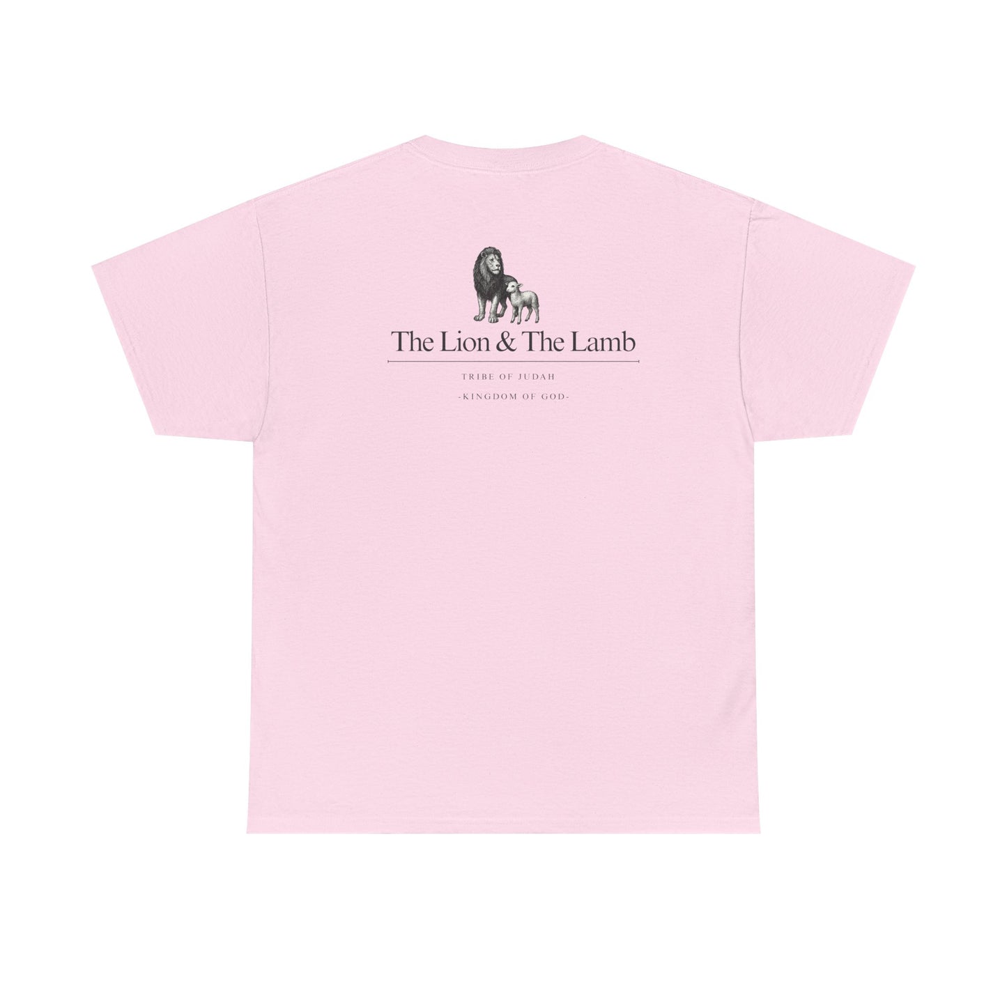 Lion and Lamb graphic man tee