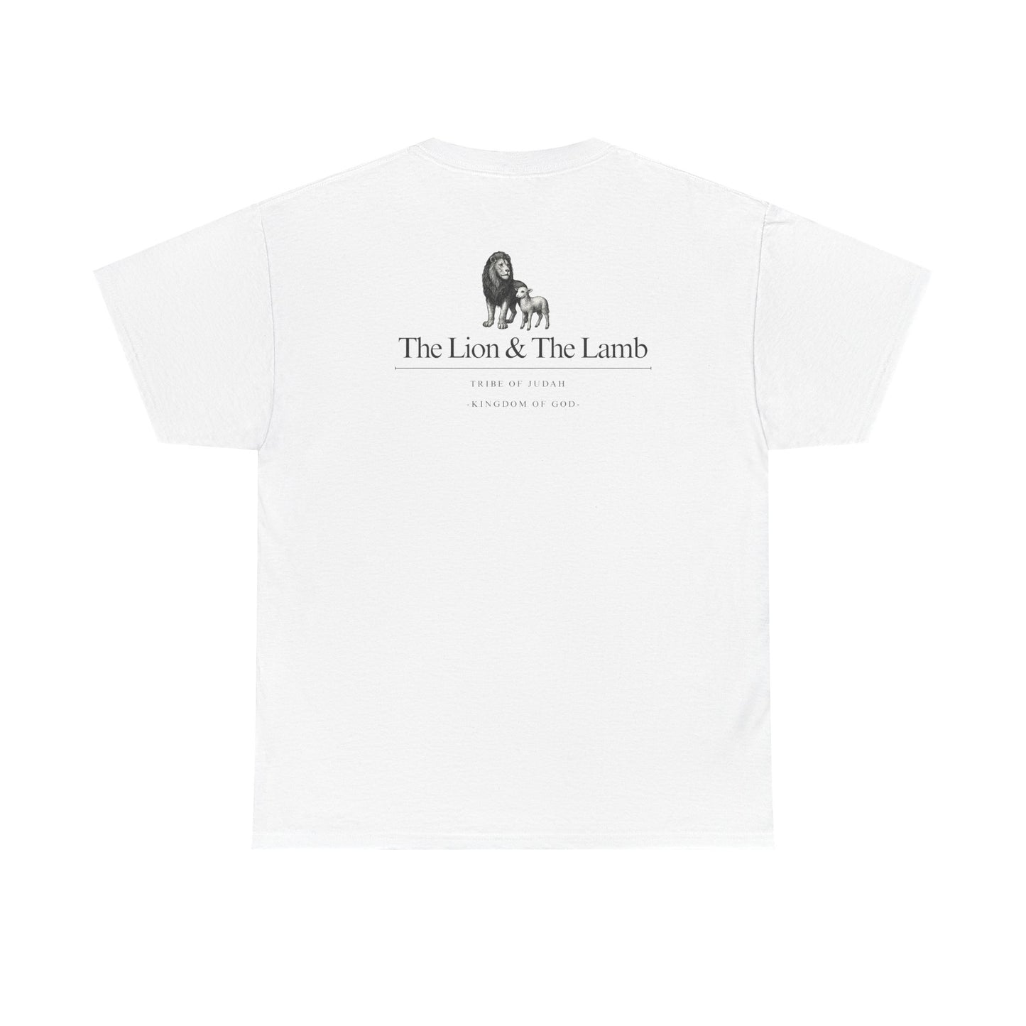 Lion and Lamb graphic man tee
