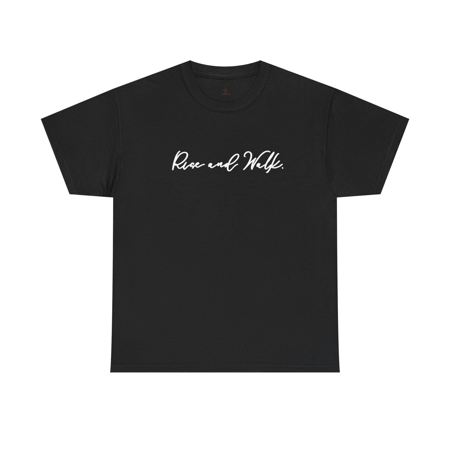 Rise and Walk Christian Woman Shirt
