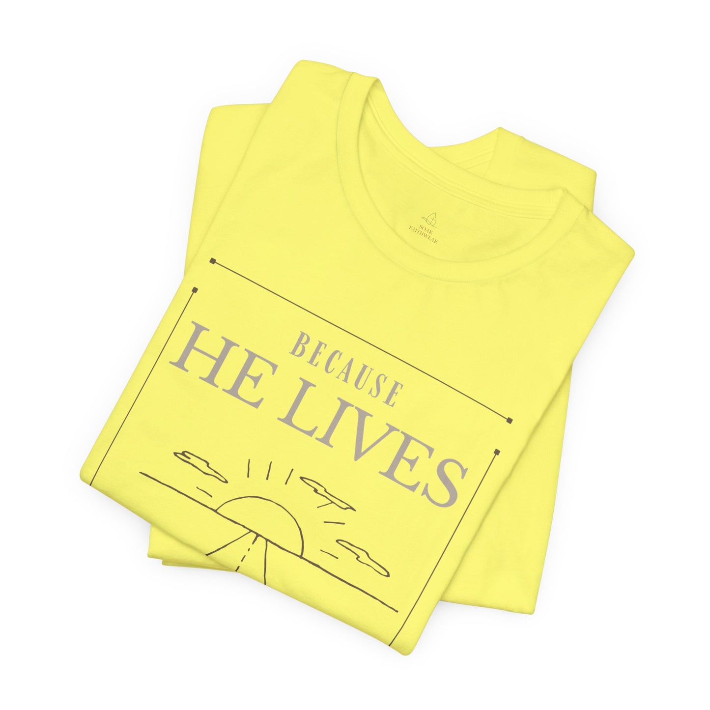 Chirstian Tee - Female adult - Because He lives.