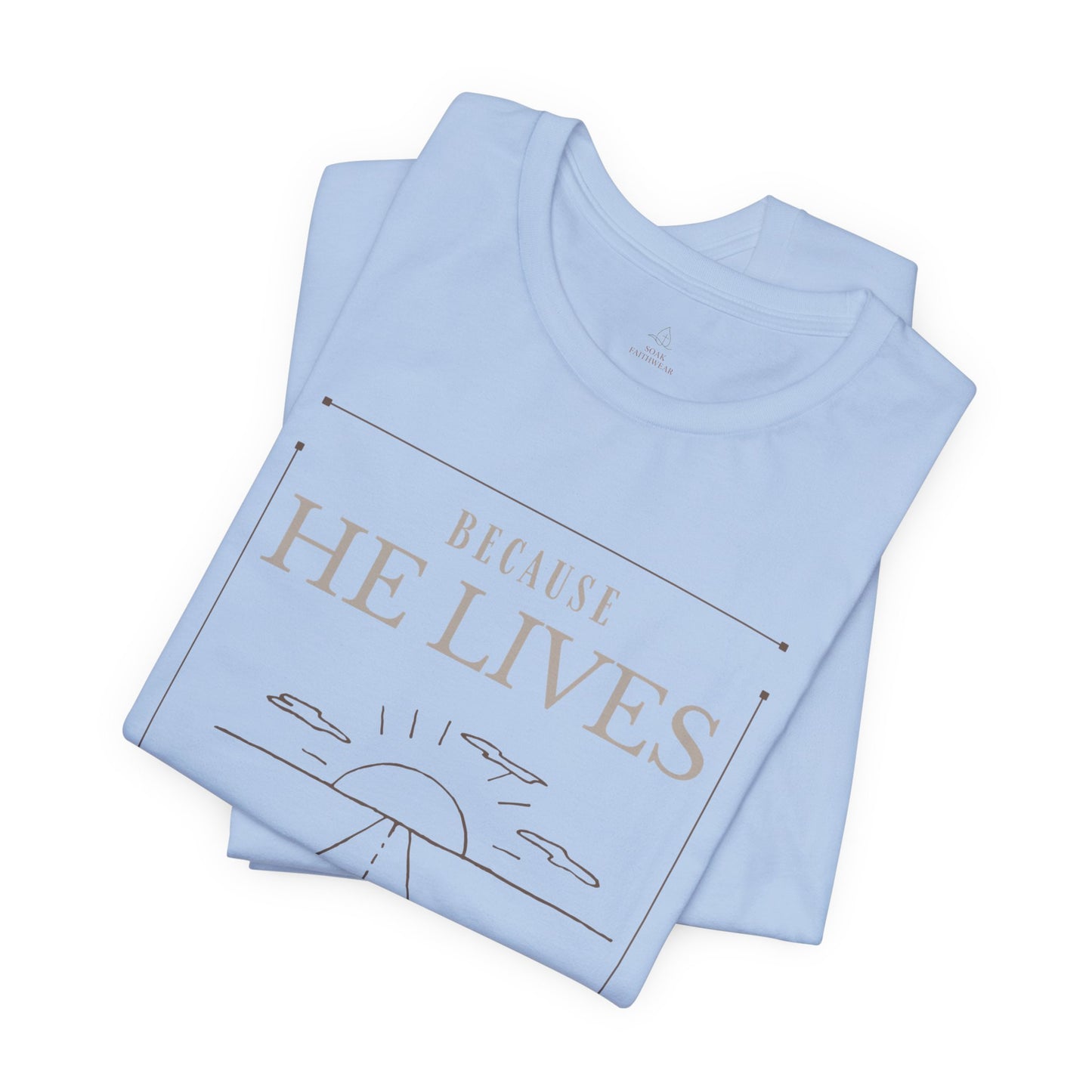 Chirstian Tee - Female adult - Because He lives.