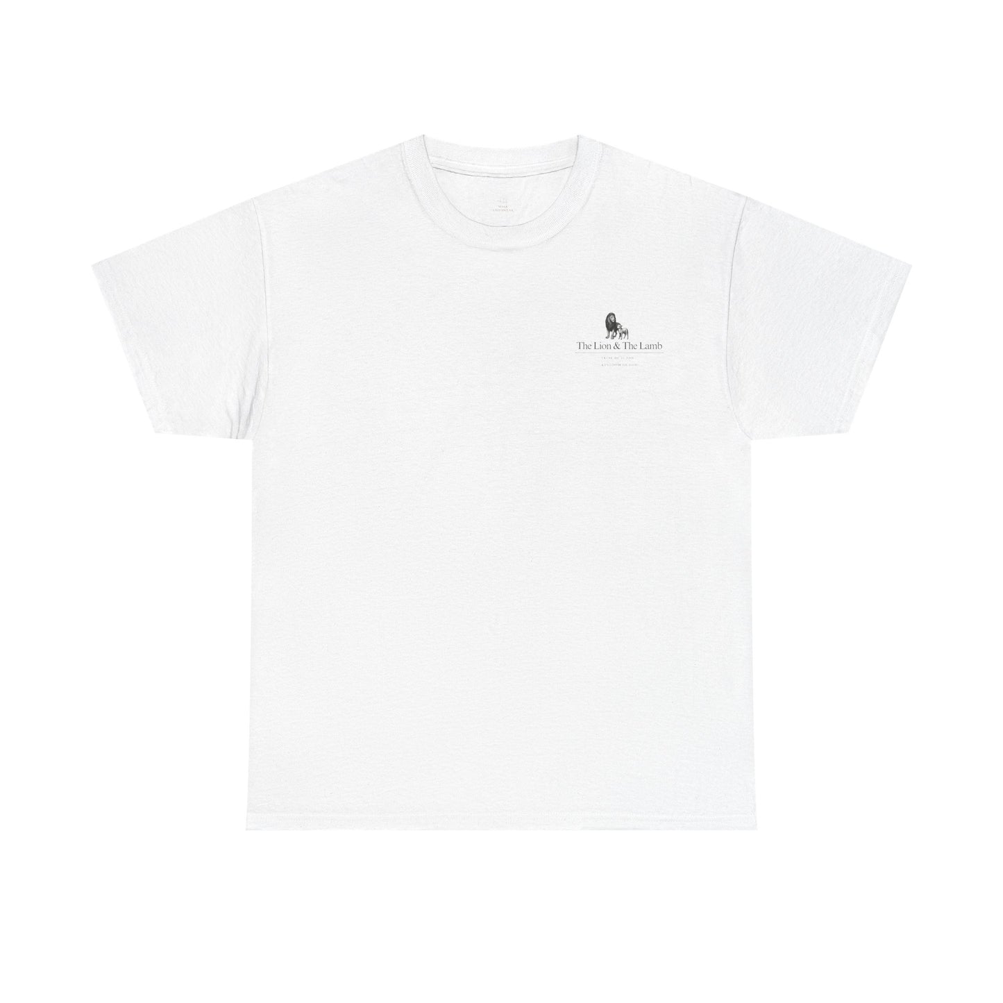 Lion and Lamb graphic man tee