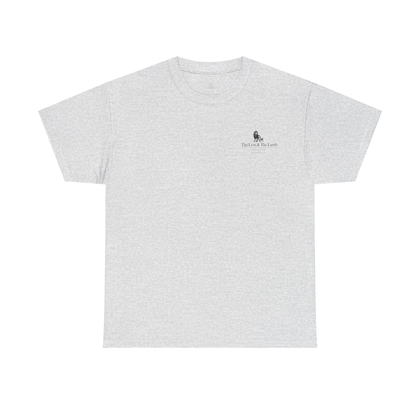 Lion and Lamb graphic man tee
