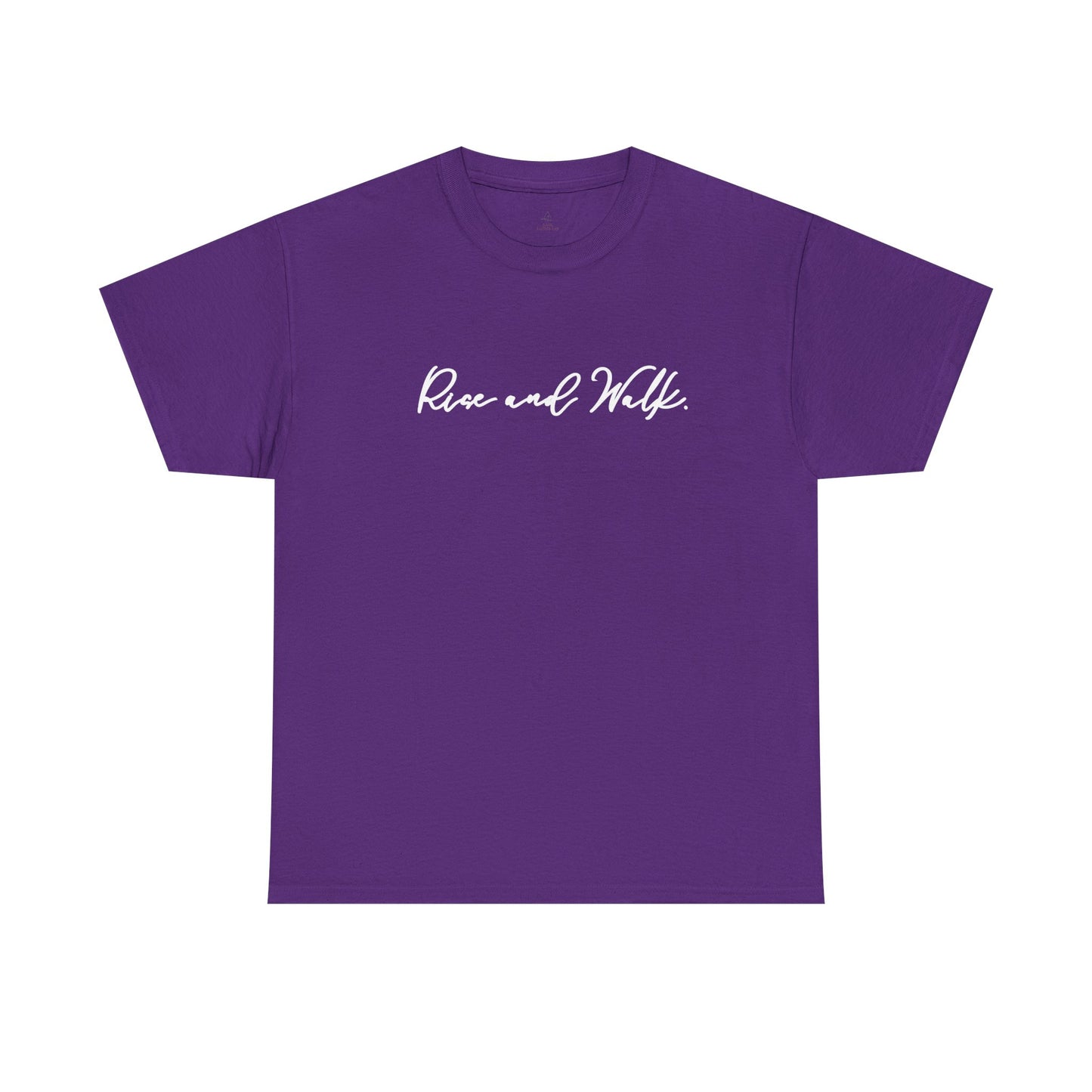 Rise and Walk Christian Woman Shirt