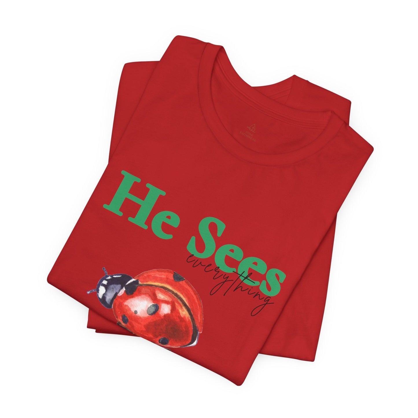 He Sees Ladybug Tee - Christian Woman