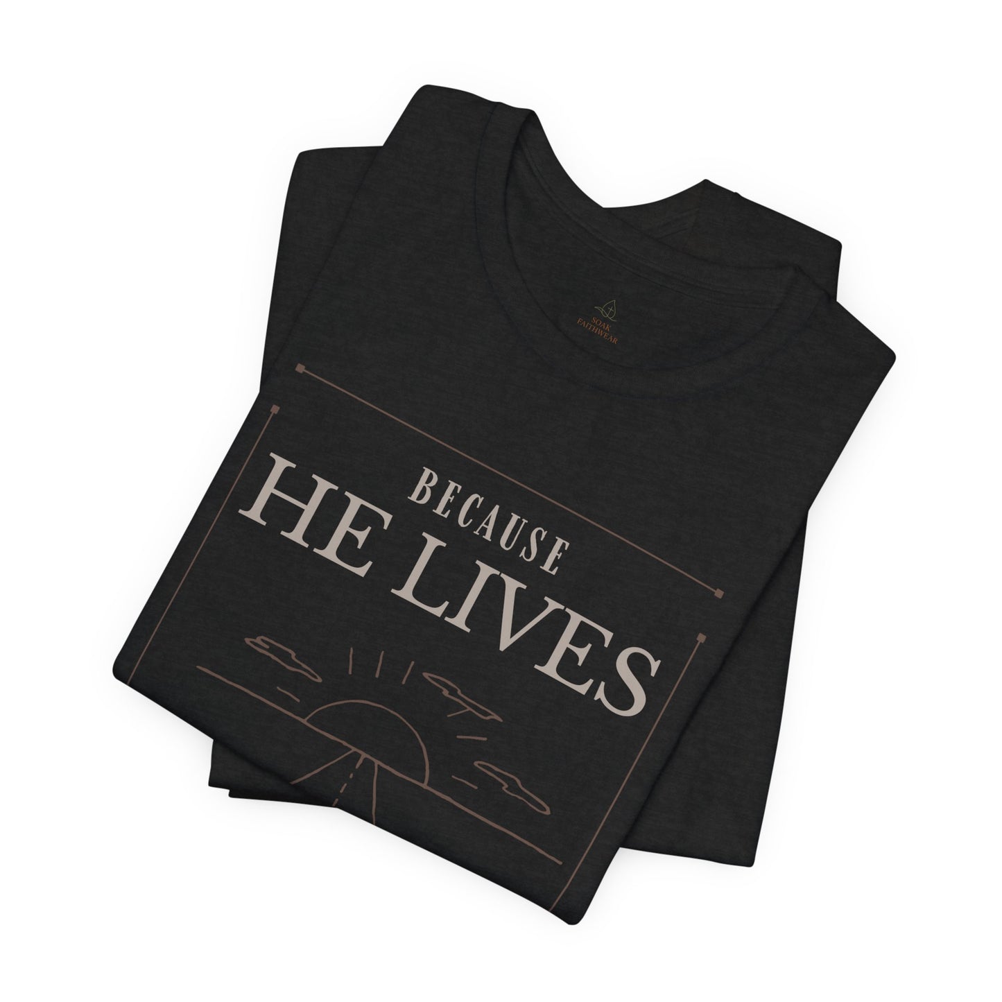 Chirstian Tee - Female adult - Because He lives.