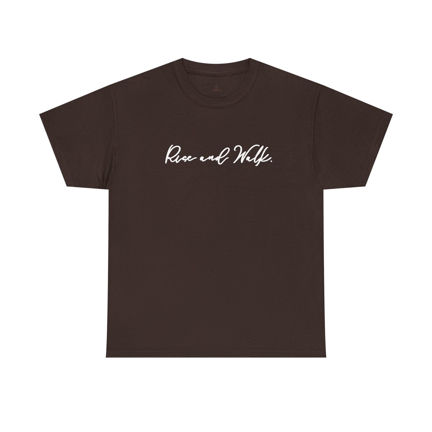 Rise and Walk Christian Woman Shirt