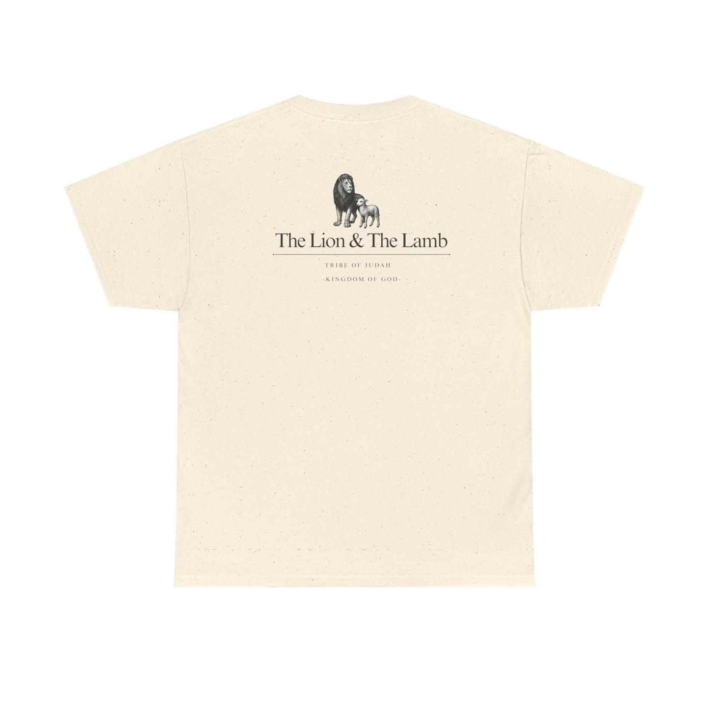 Lion and Lamb graphic man tee