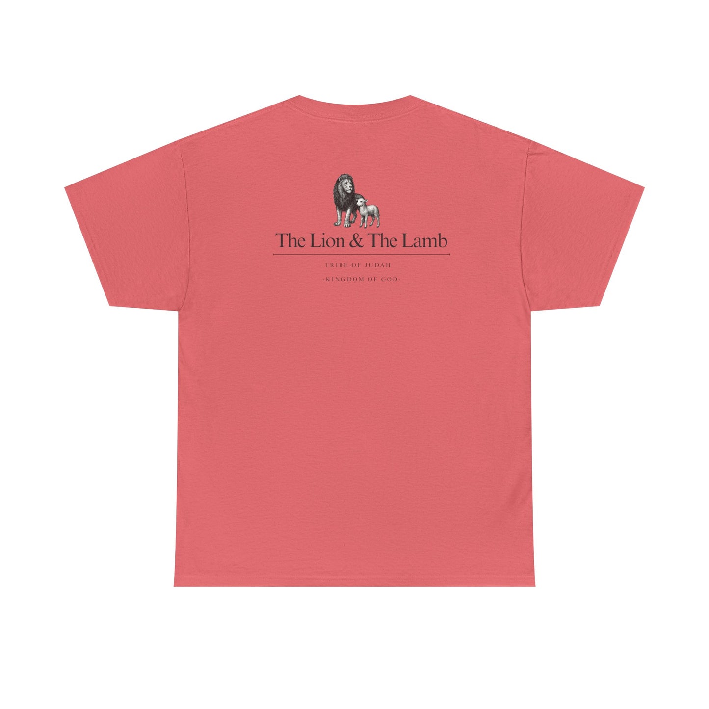 Lion and Lamb graphic man tee