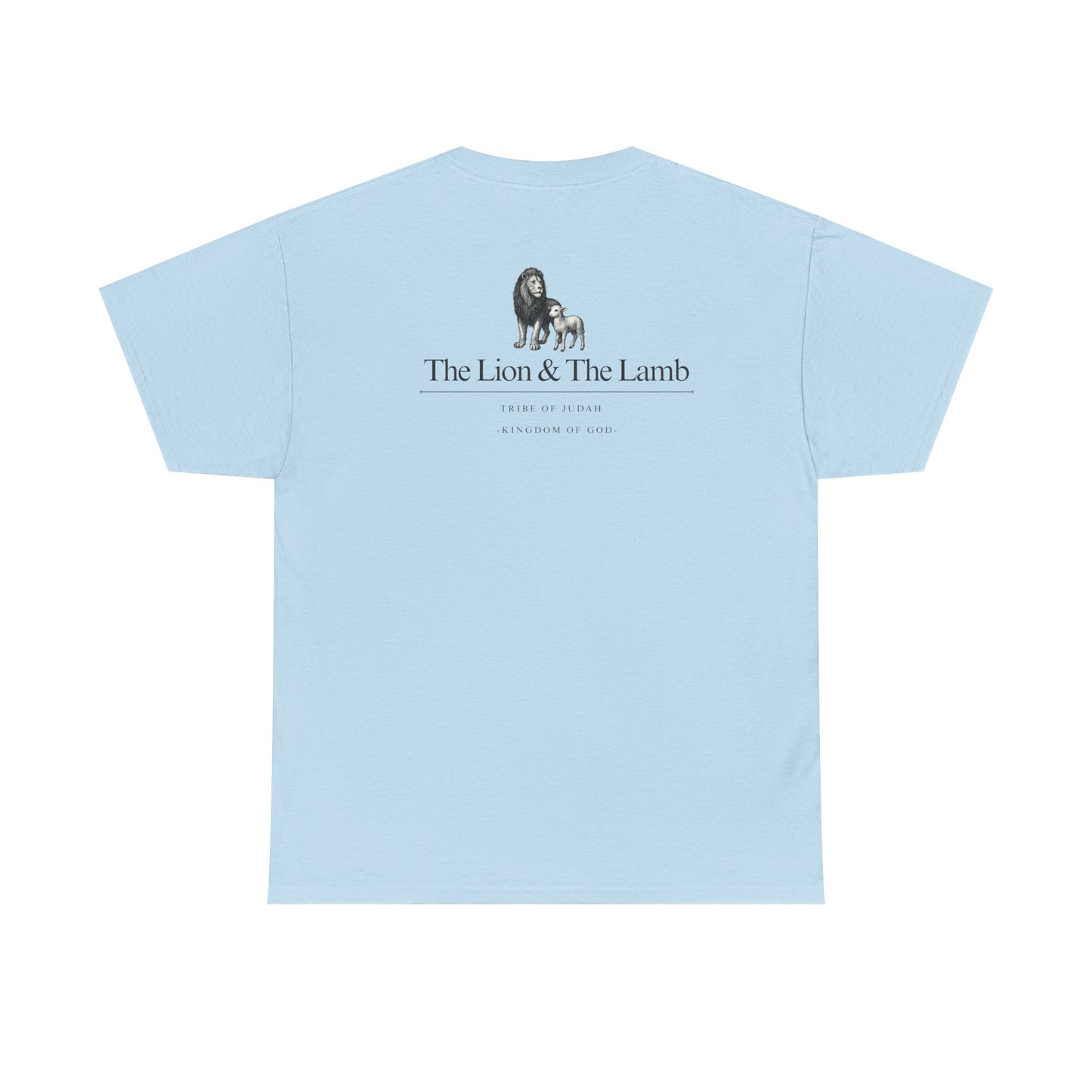 Lion and Lamb graphic man tee