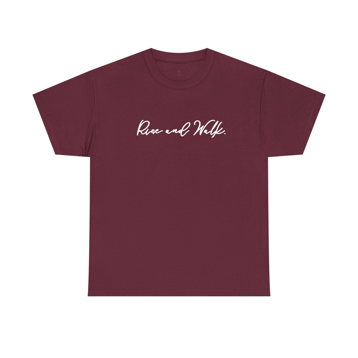 Rise and Walk Christian Woman Shirt