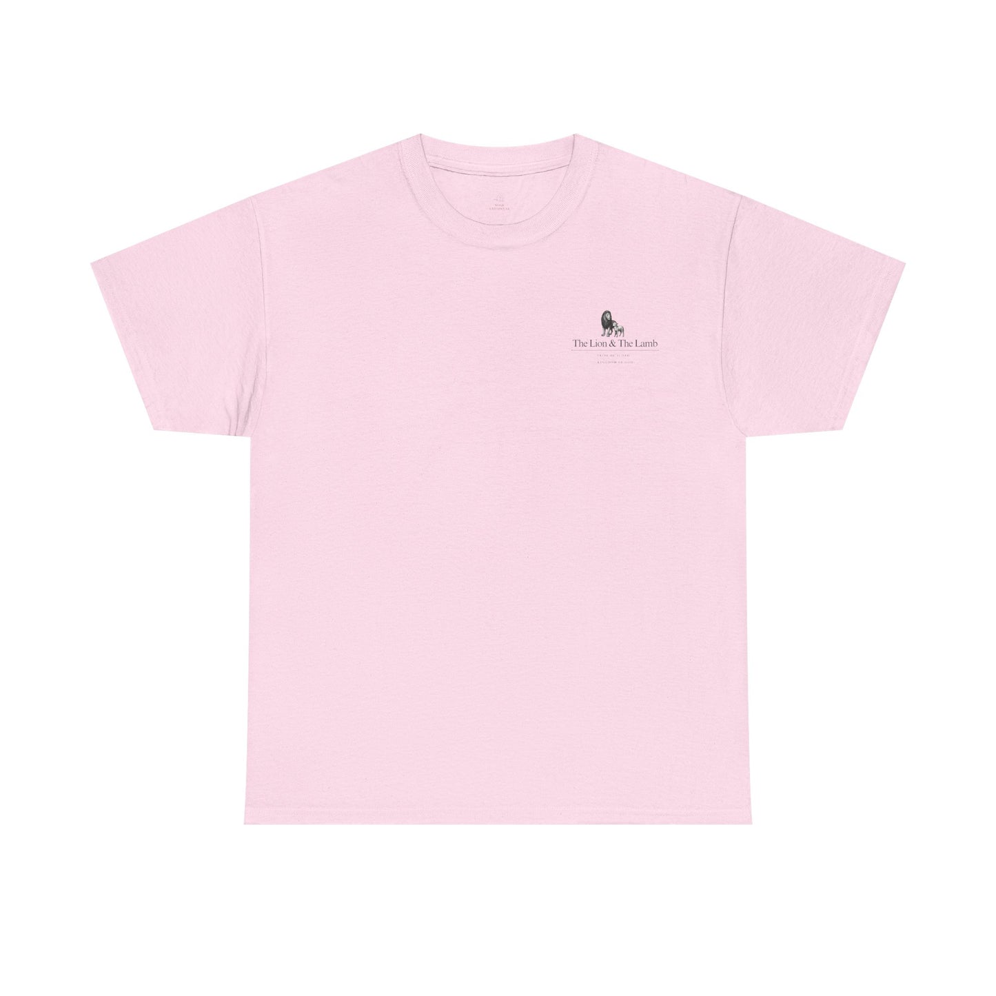 Lion and Lamb graphic man tee