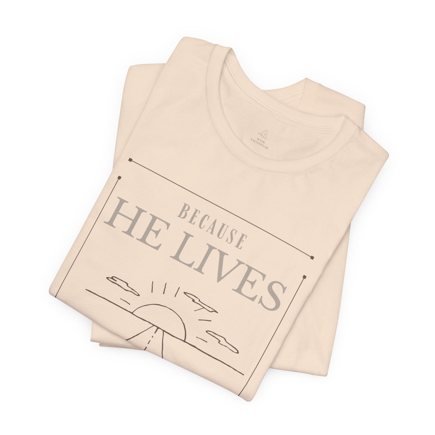 Chirstian Tee - Female adult - Because He lives.
