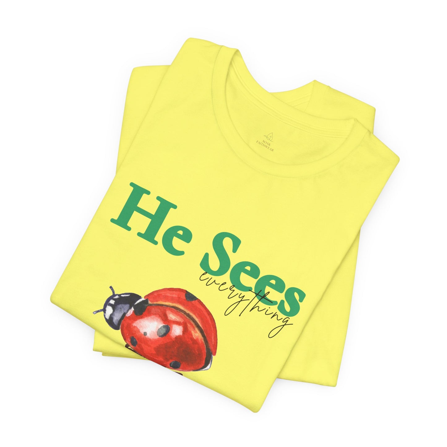 He Sees Ladybug Tee - Christian Woman