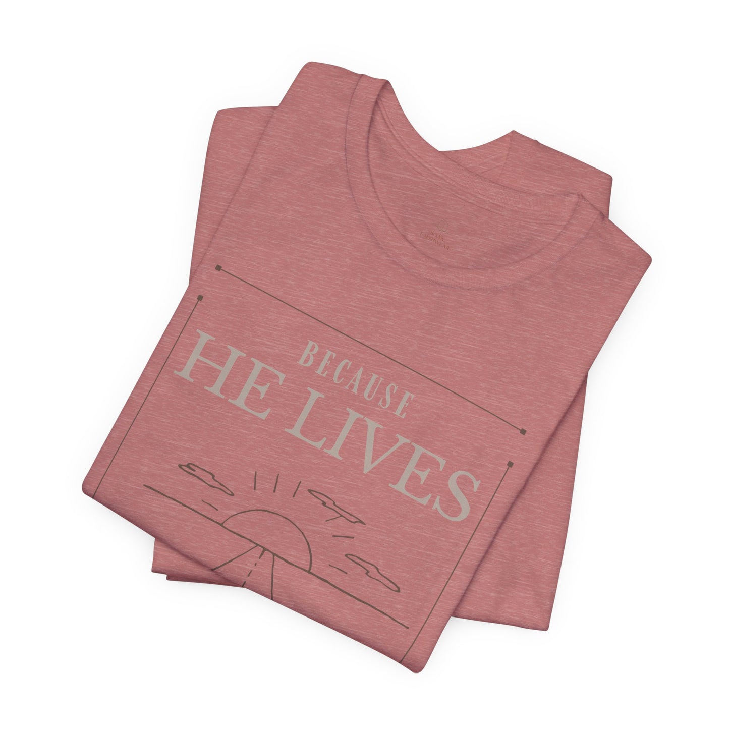 Chirstian Tee - Female adult - Because He lives.