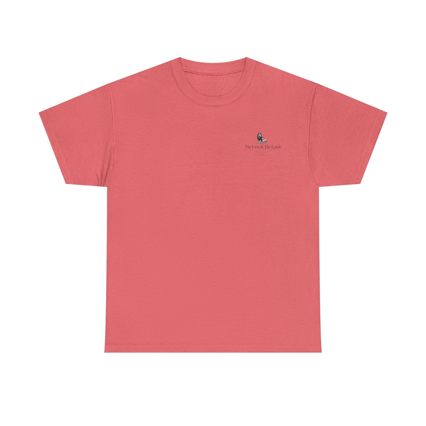 Lion and Lamb graphic man tee