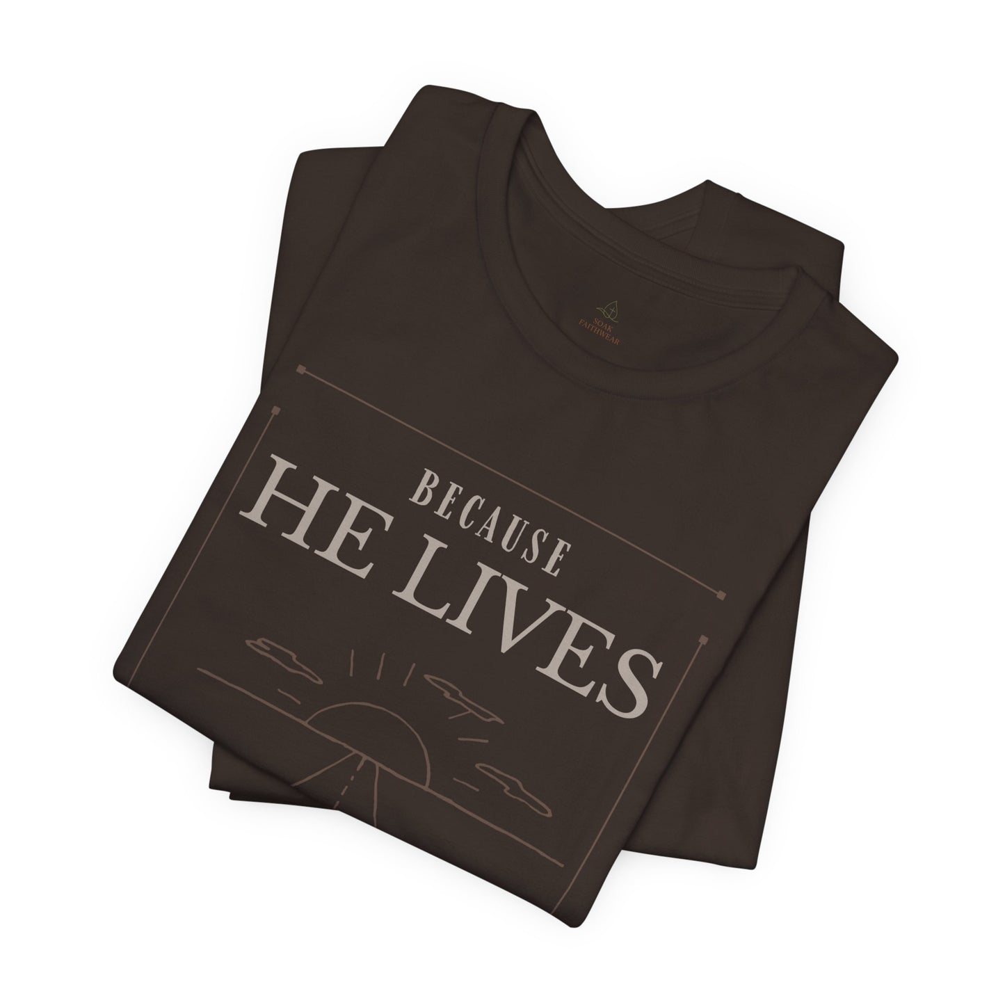 Chirstian Tee - Female adult - Because He lives.