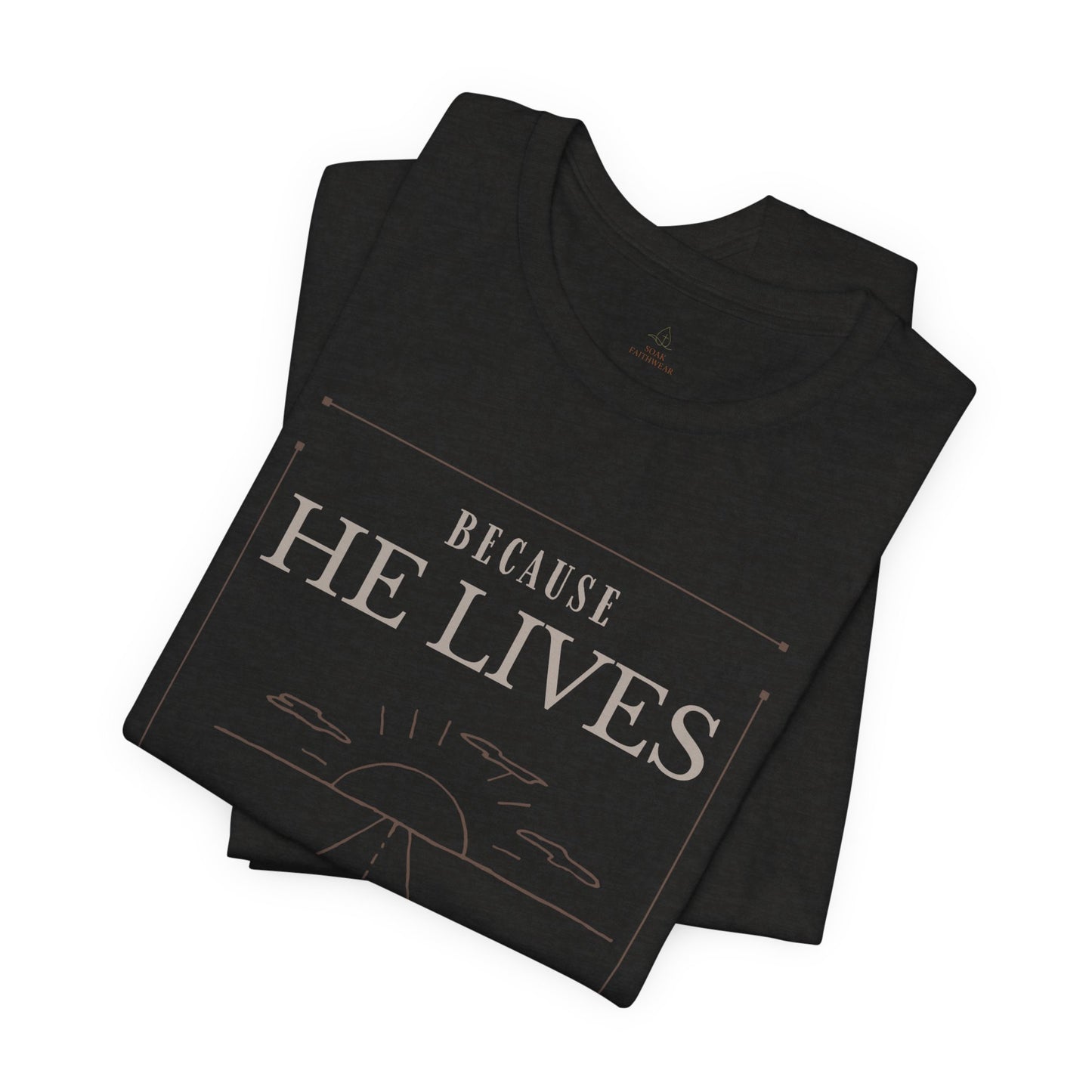 Chirstian Tee - Female adult - Because He lives.