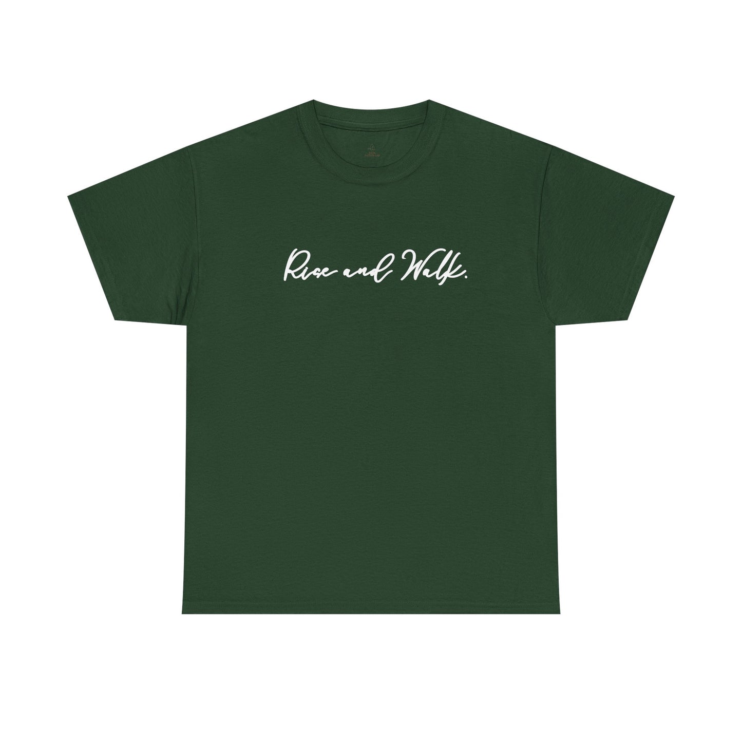 Rise and Walk Christian Woman Shirt