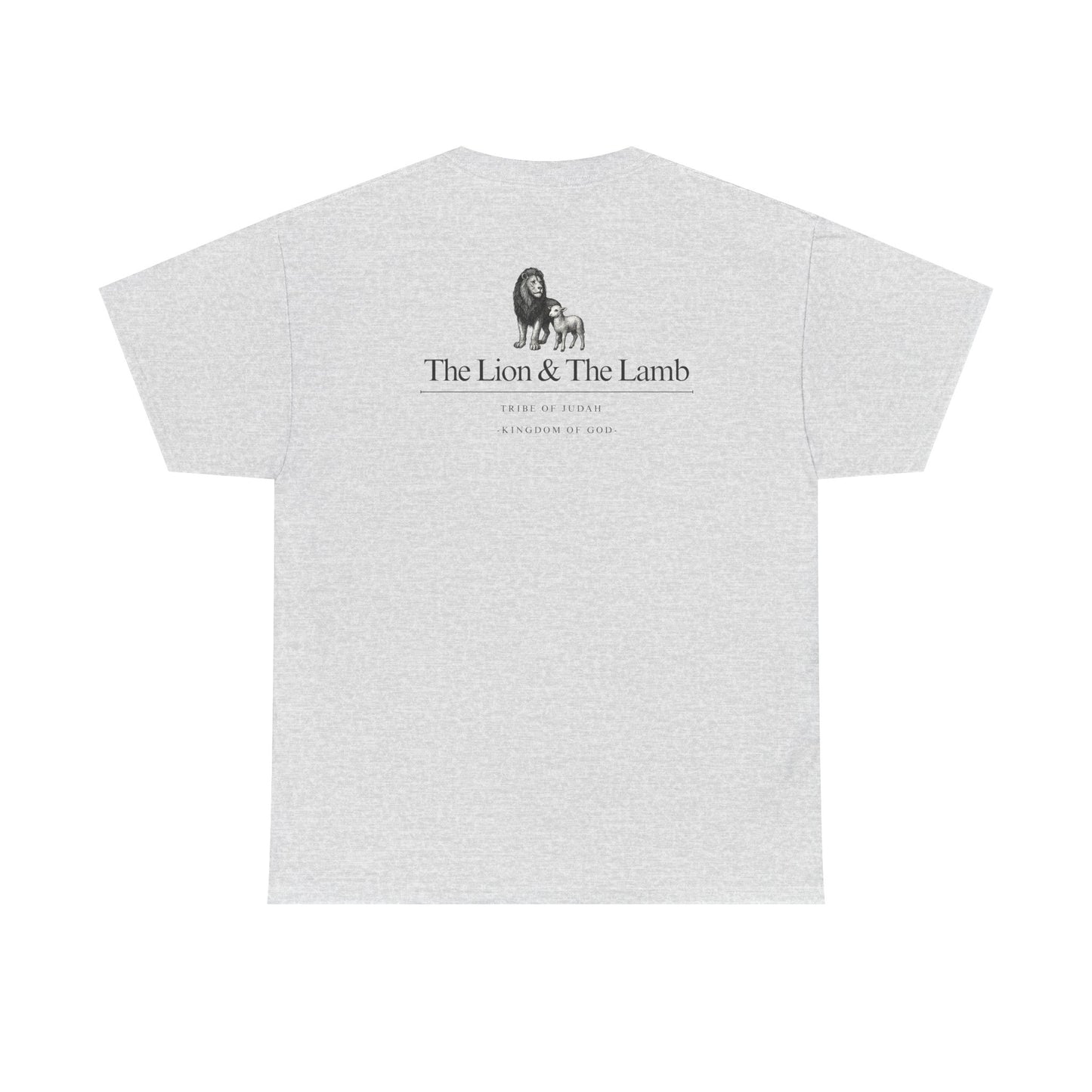 Lion and Lamb graphic man tee
