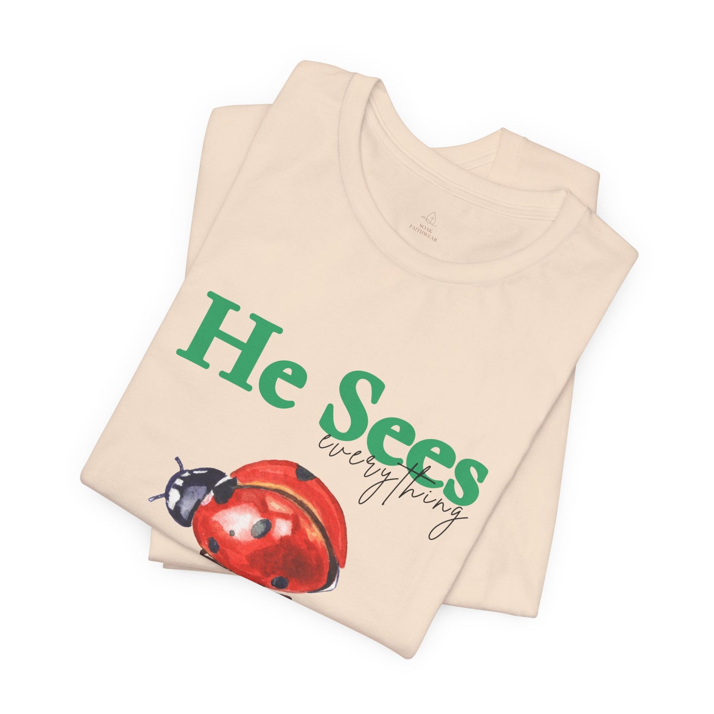 He Sees Ladybug Tee - Christian Woman